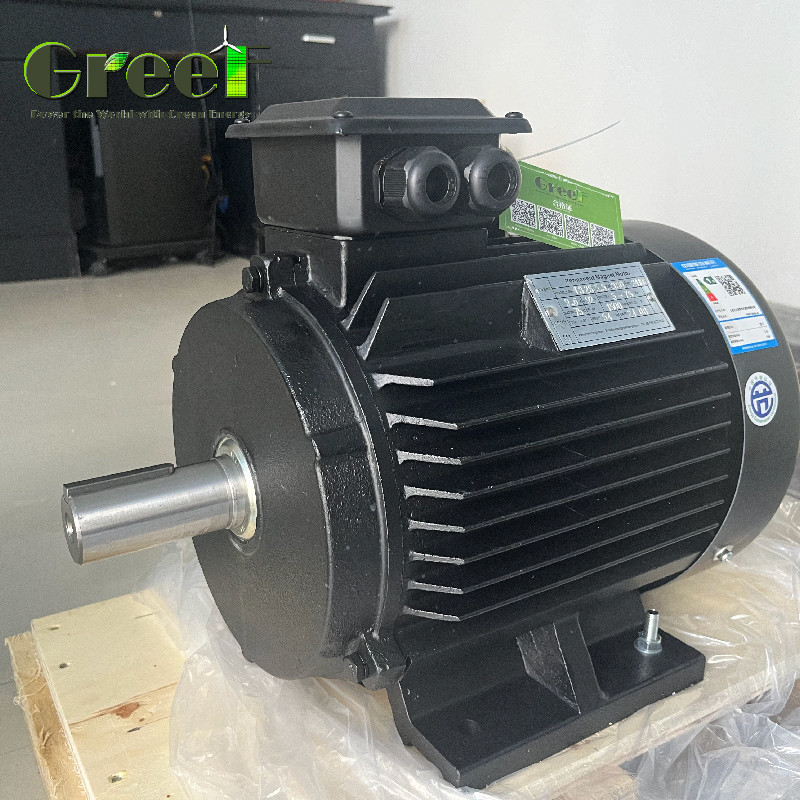 IP54 등급 토크 네오디미엄 자석 전기 모터 6극 750w-5Mw