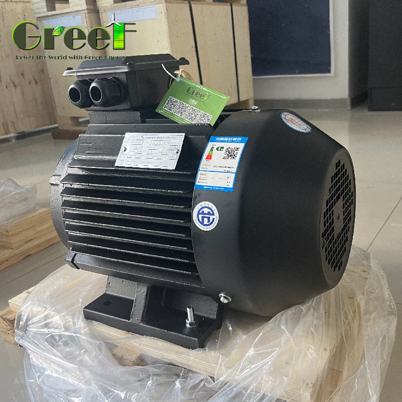 220V 750W-5MW 토크 영구 자석 전기 모터 가동 변속률