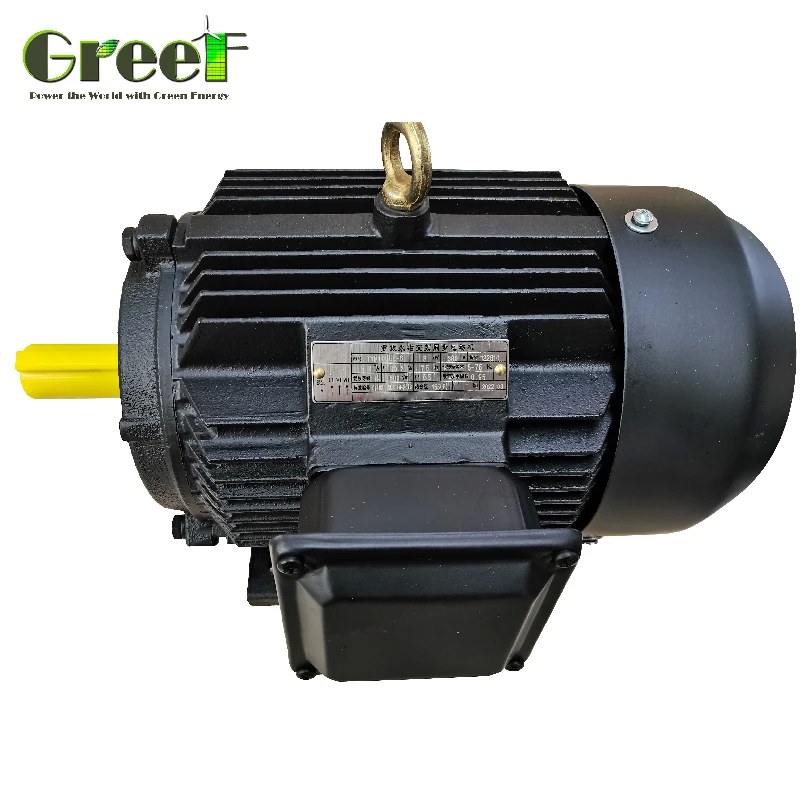 50Hz 영구 자석 3단계 AC 동기 모터 등급 전력 750W-5MW