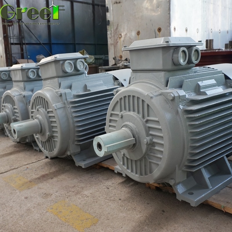 10kW 영구 자석 발전기 맞춤형 정격 전압 20rpm-3000rpm 정격 회전 가정용 풍력 터빈 수력 터빈