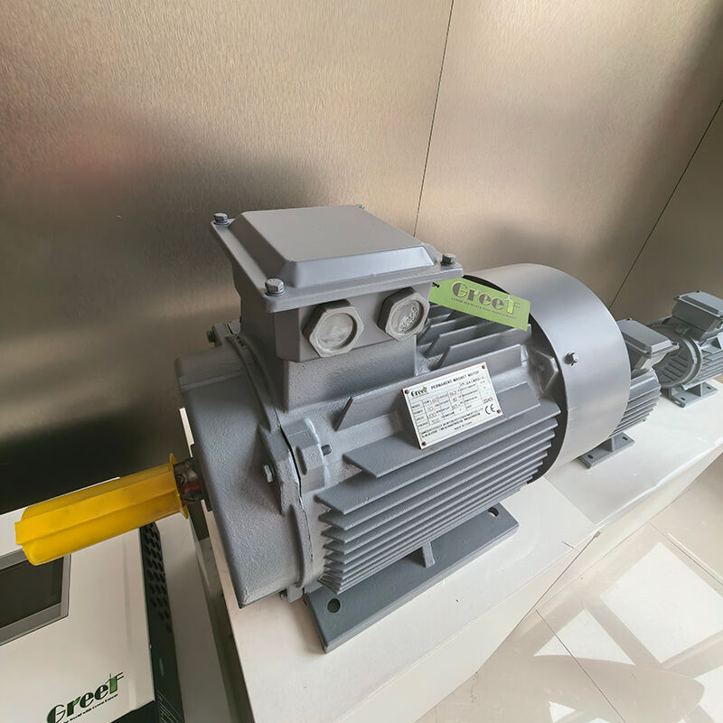 IP54 등급 플랜지 마운트 영구 자석 모터 산업용 0-3000 RPM