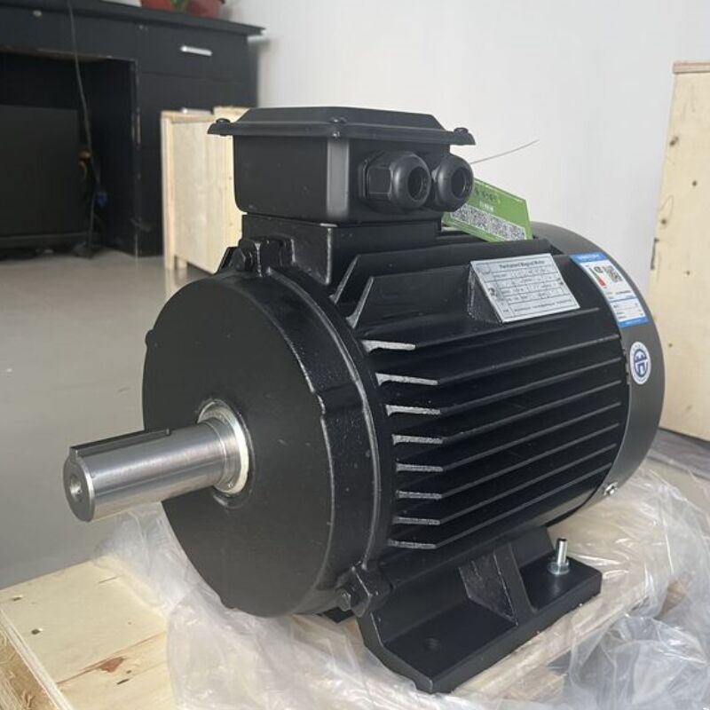 산업 자동화를 위한 SKF 베어링 영구 자석 모터 750W-5MW 브러시리스 DC 모터