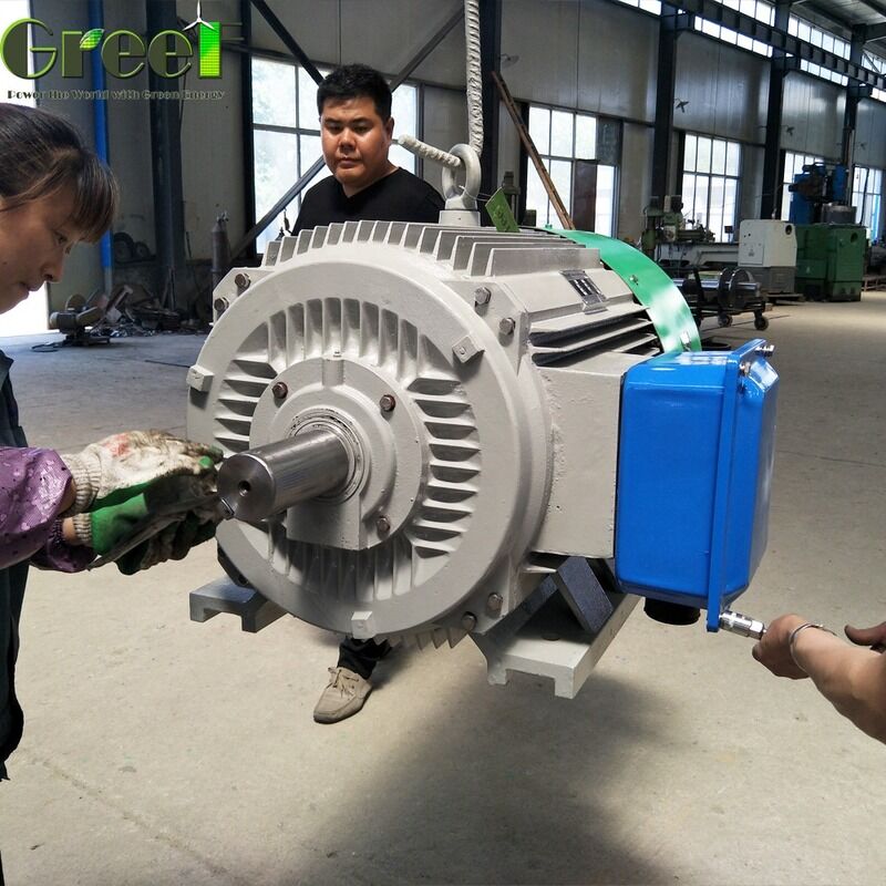 등급 회전 속도 20rpm 3000rpm 영구 자석 발전기 1단계 3단계 전력 출력 크기 설계에 따라 달라집니다