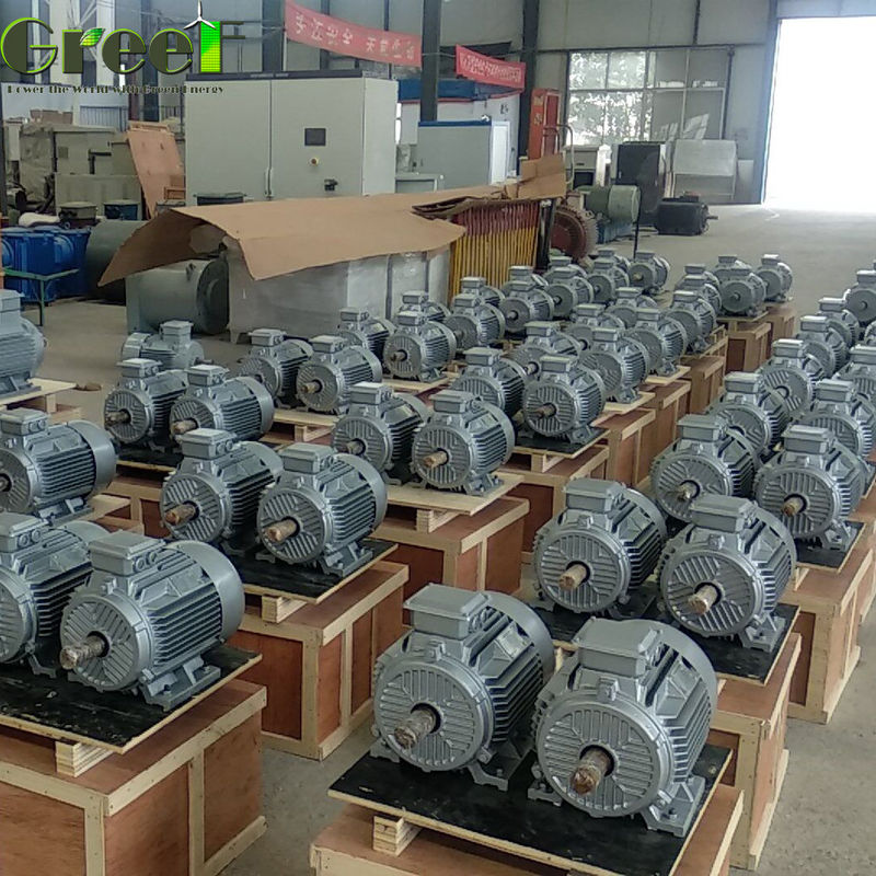 1MW 380Vac 자유 에너지 저 시작 토크 수력 터빈 발전기 5MW PMG